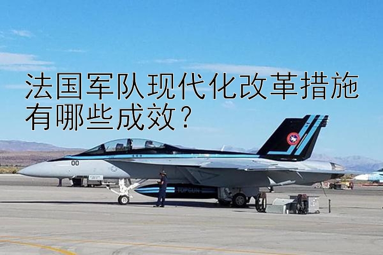 法国军队现代化改革措施有哪些成效？