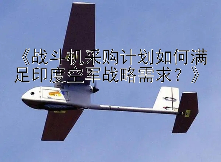 《战斗机采购计划如何满足印度空军战略需求？》