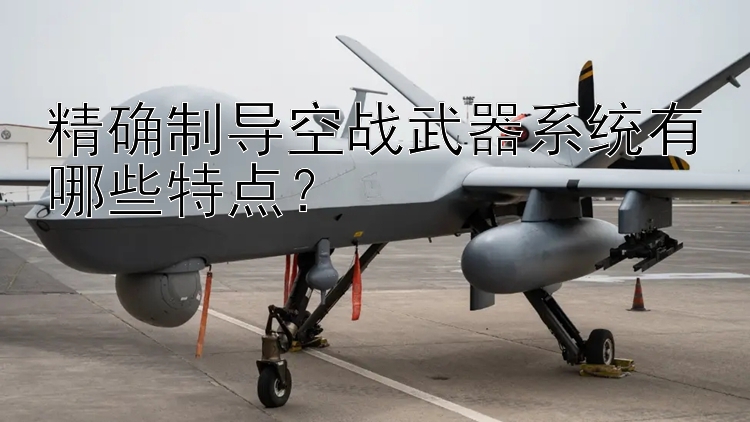 精确制导空战武器系统有哪些特点？